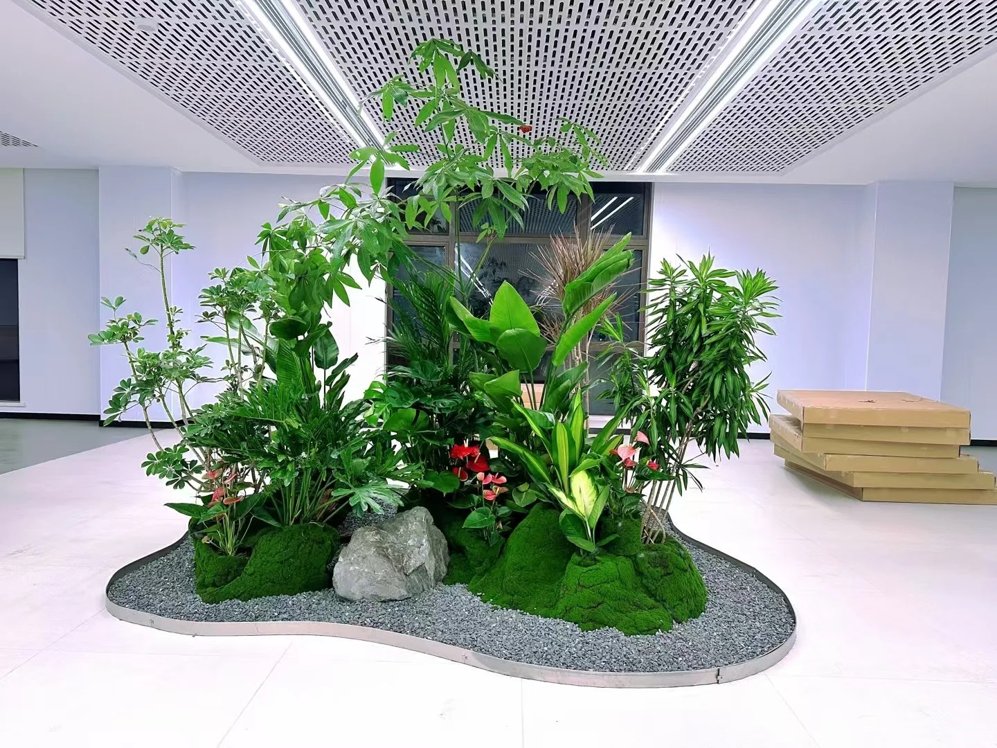 专业花卉租摆，宁波鄞州的绿色魅力之选